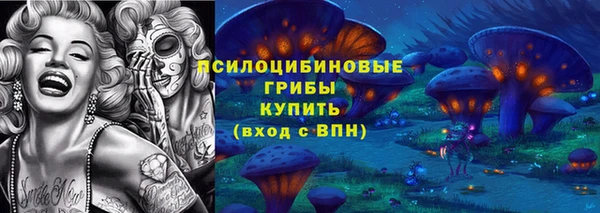 таблы Новокубанск