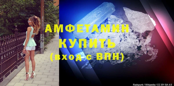 прущие грибы Баксан